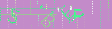 確認代碼